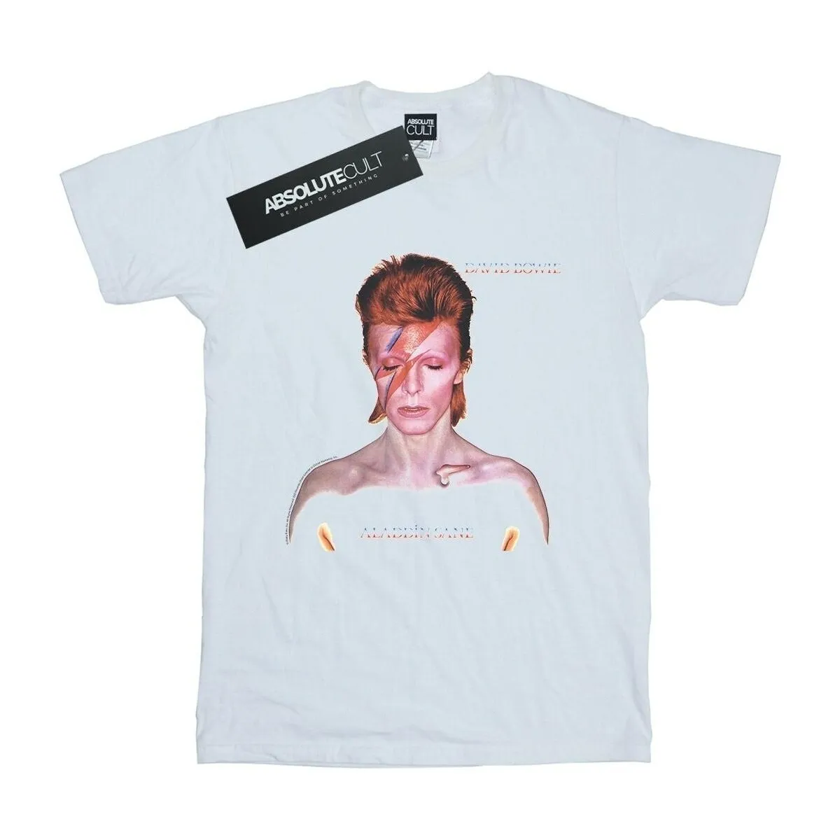 Aladdin Sane Version
