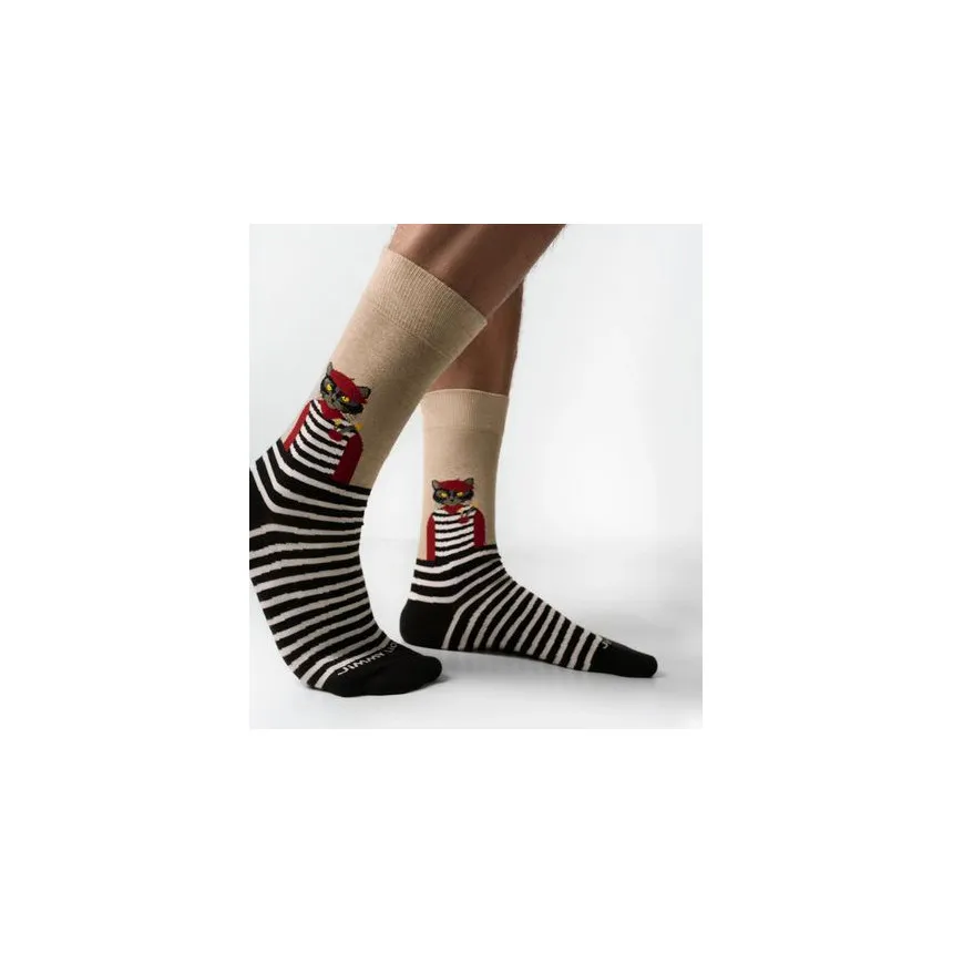 Calcetines Jimmy Lion Artist Cat Unisex