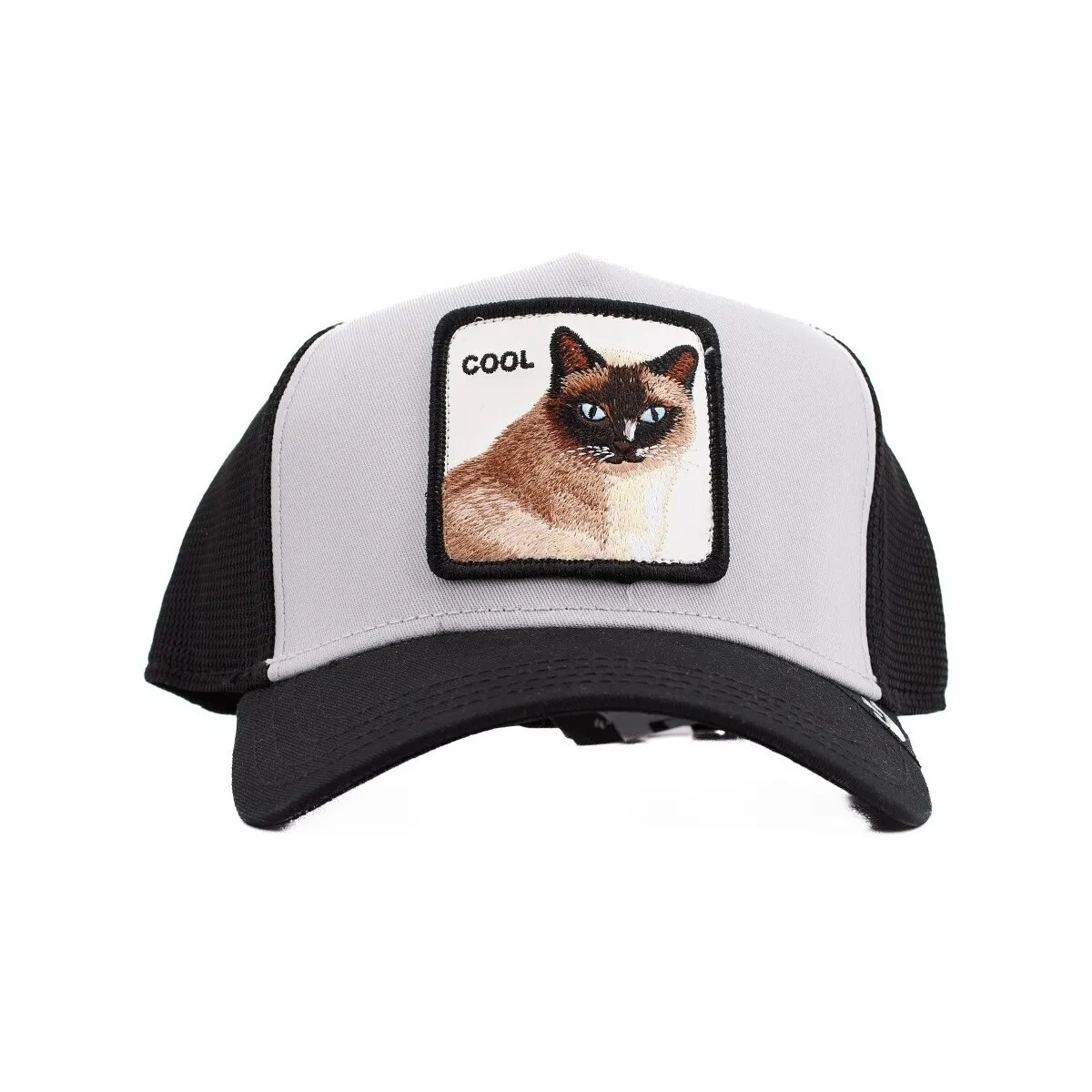 COOL CAT