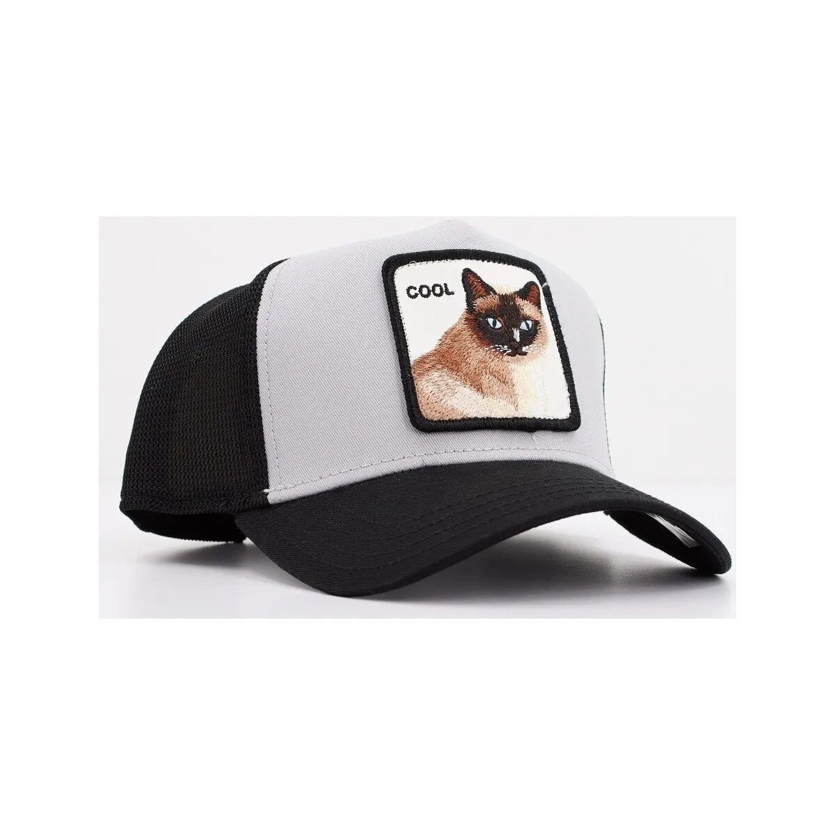 COOL CAT