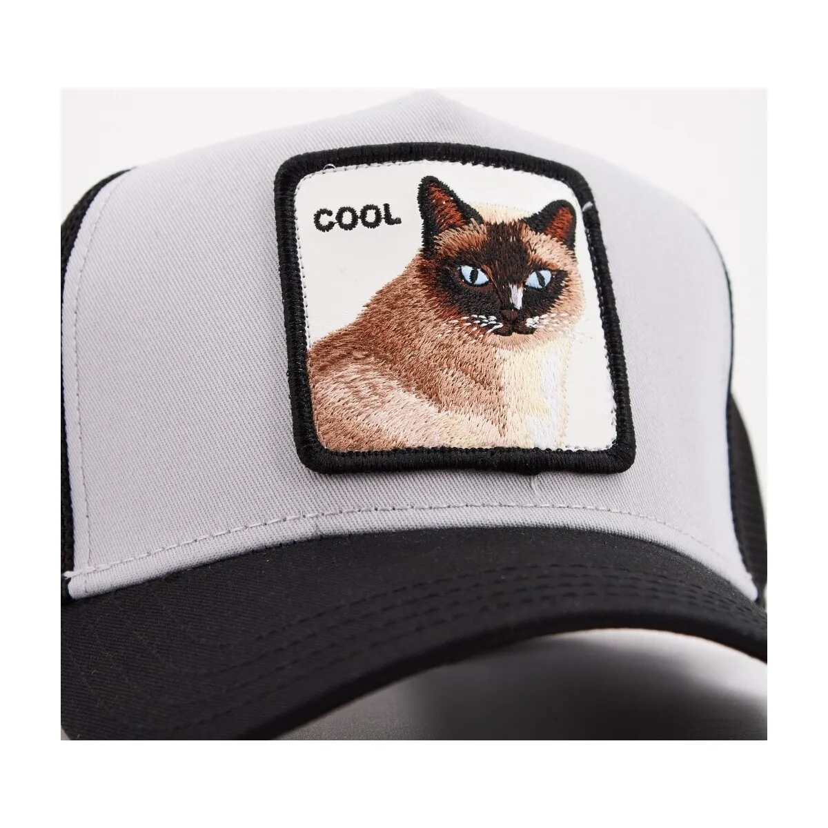 COOL CAT