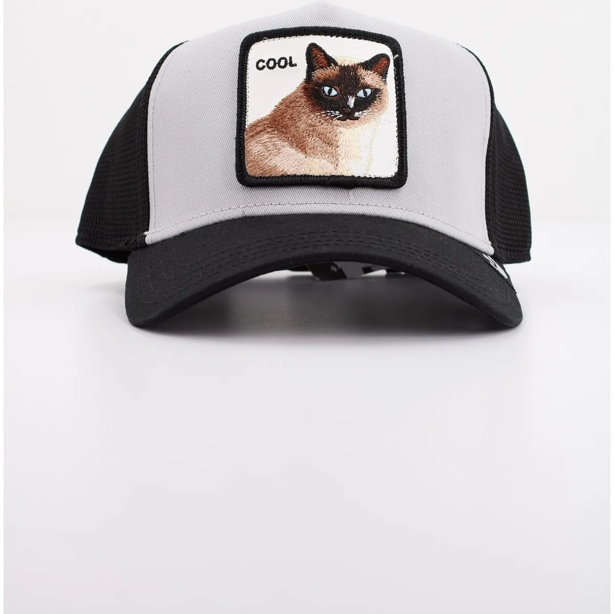 COOL CAT