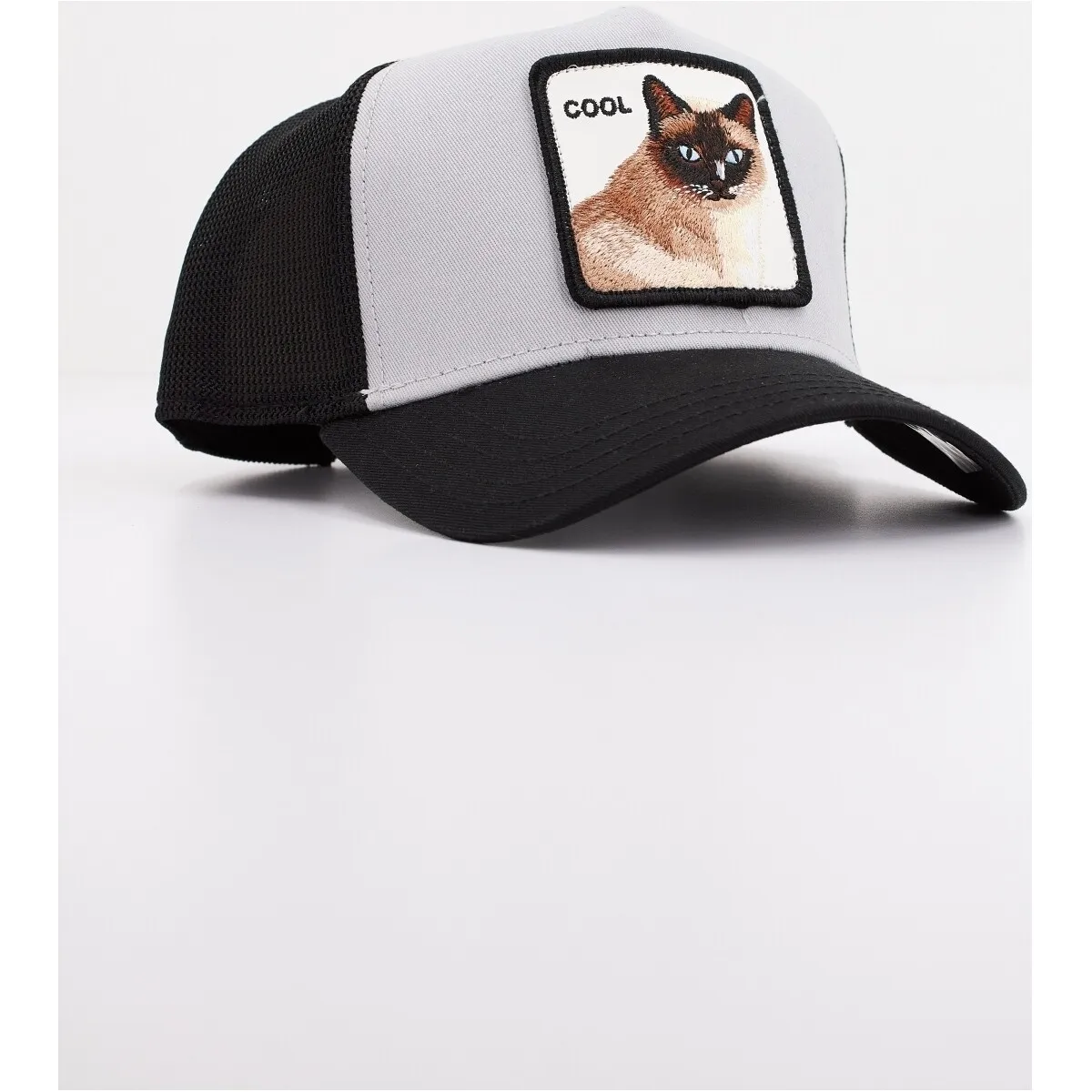 COOL CAT