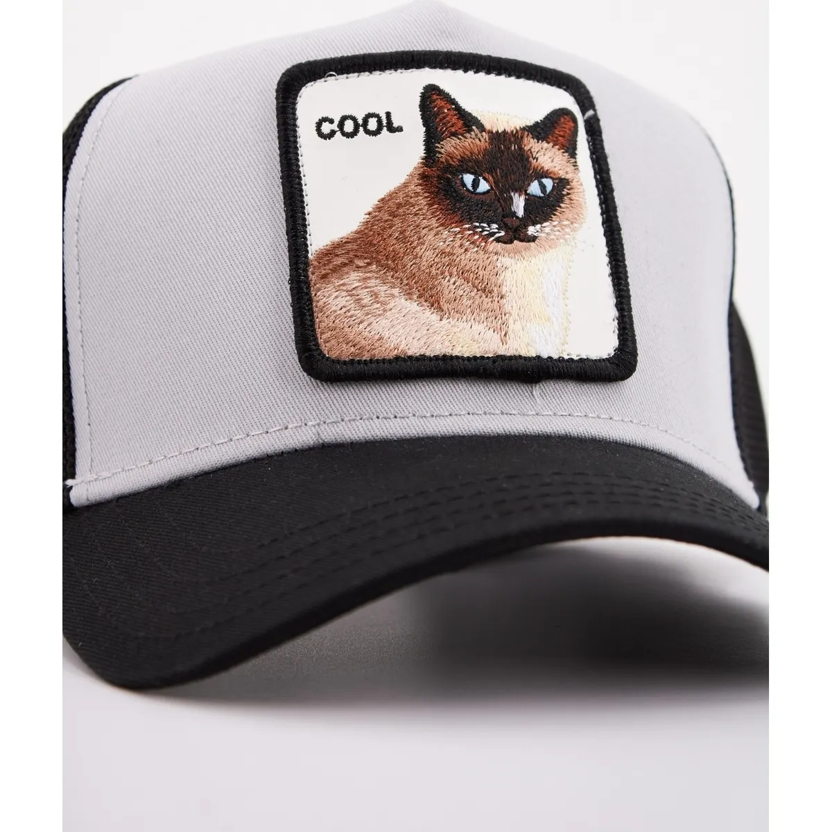 COOL CAT