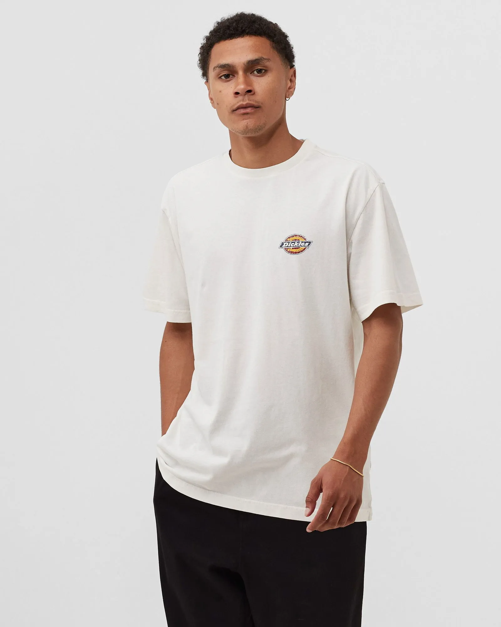 Dickies ICON WASHED TEE