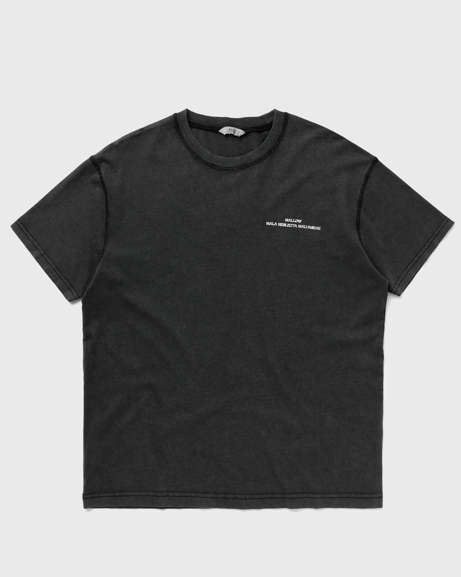 envii ENKULLA SS TEE PRINT WASH