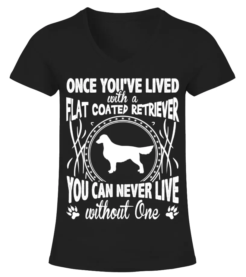FLAT COATED RETRIEVER  FUNNY TSHIRT CAMISETA CUELLO PICO MUJER