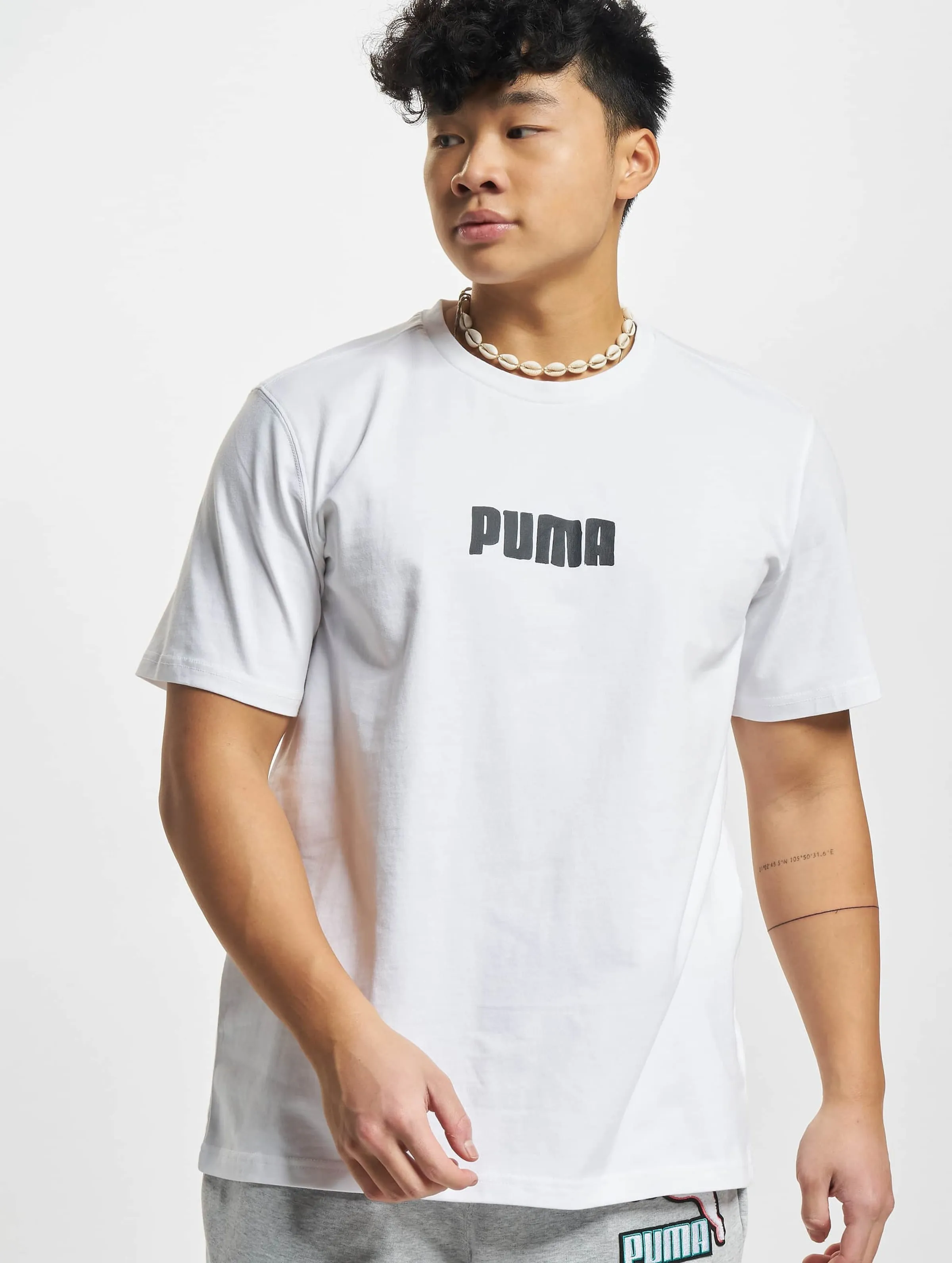 Puma Cat Jaws