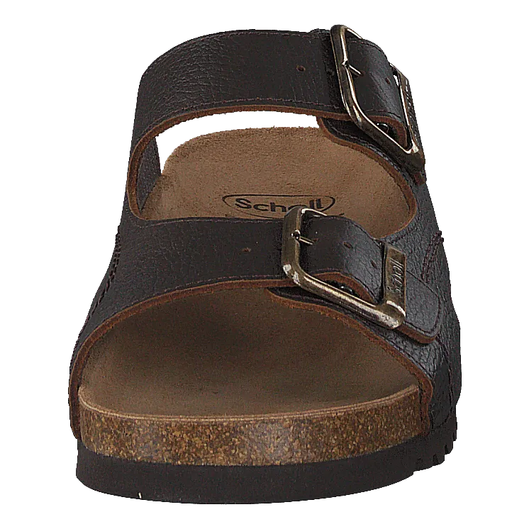 Scholl Moldava Ad Dk Brown