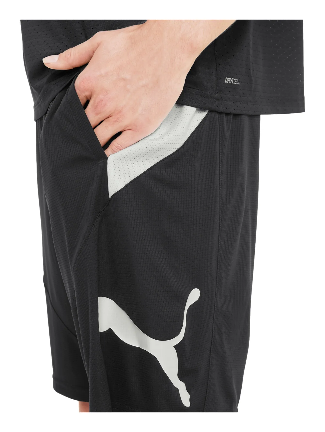 Short Puma Train Fav Cat 9" Para Hombre